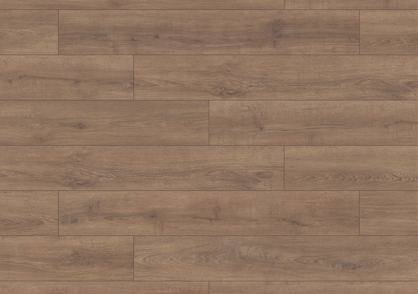 Clay Sola Oak