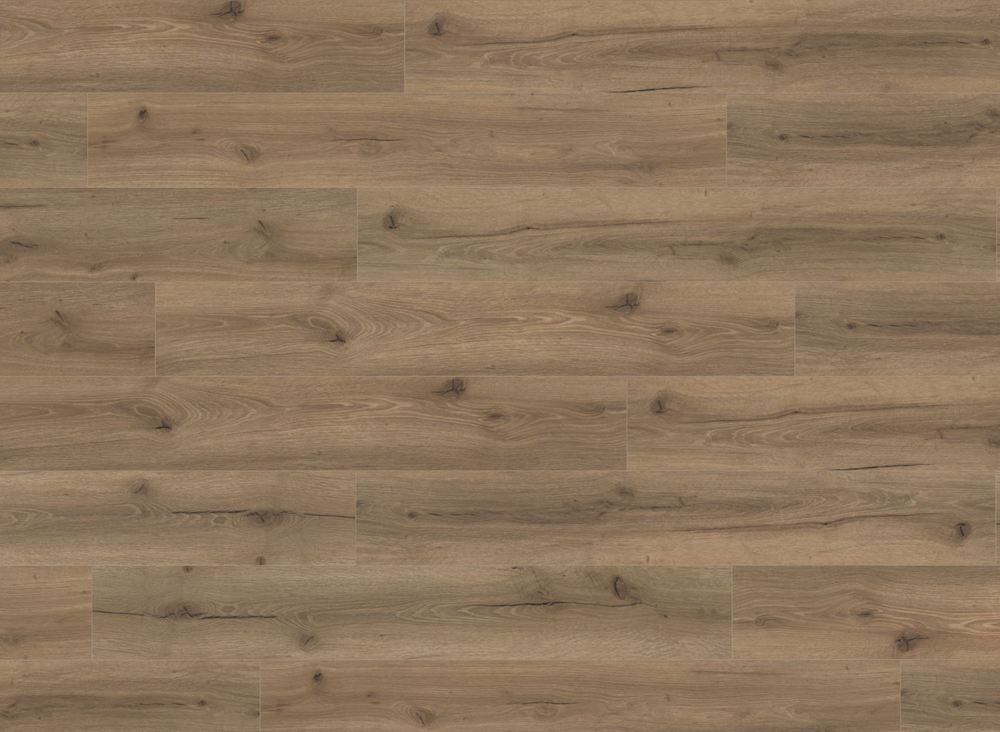Mocha Oak