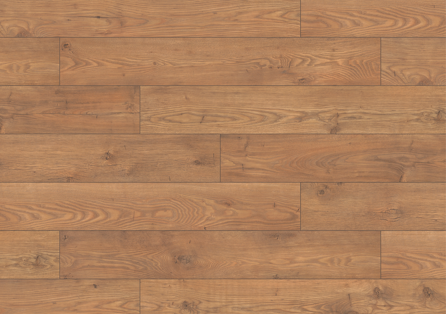 Tawny Chestnut
