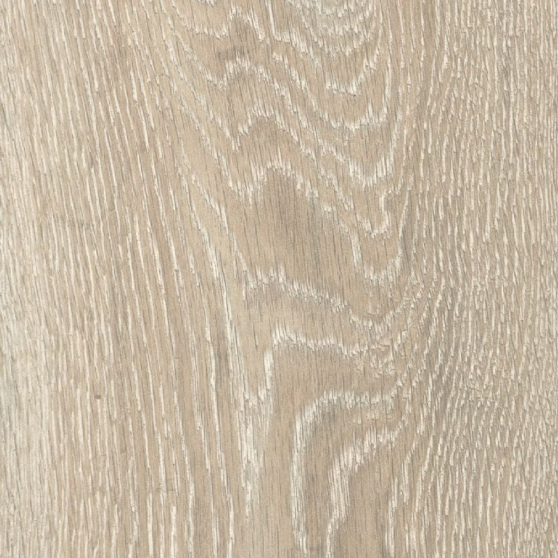 Colorado Oak