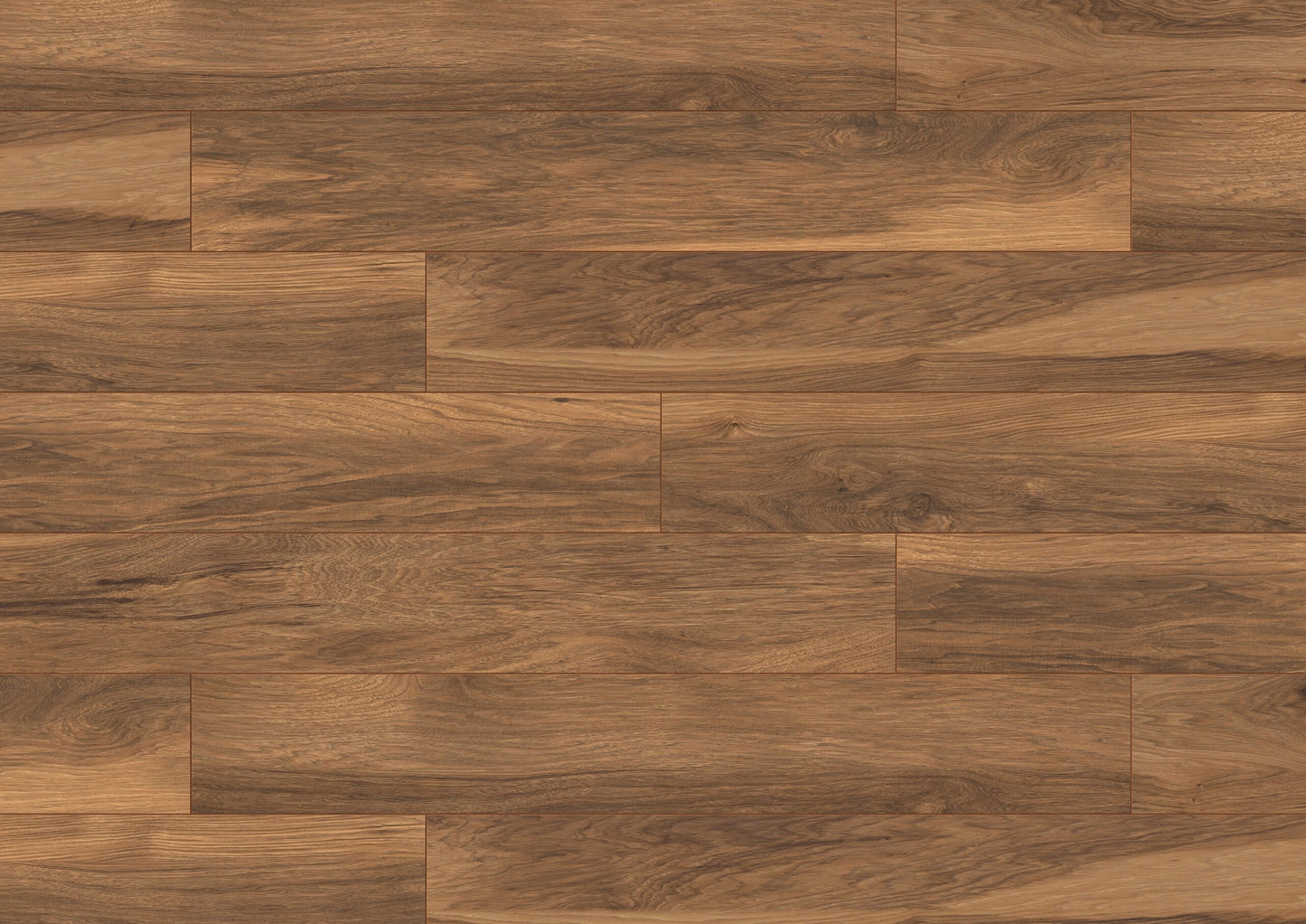 Appalachian Hickory