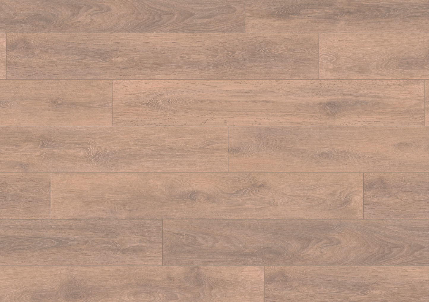 Blonde Oak
