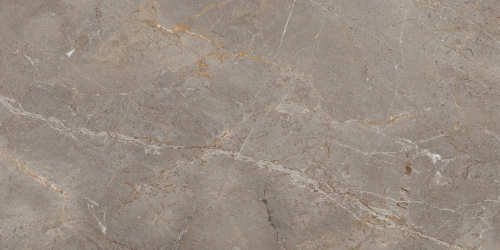 Augustus Polished - Tile Depot - 