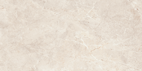 Augustus Polished - Tile Depot - 