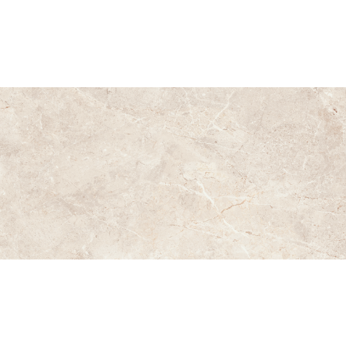 Augustus Polished - Tile Depot - 