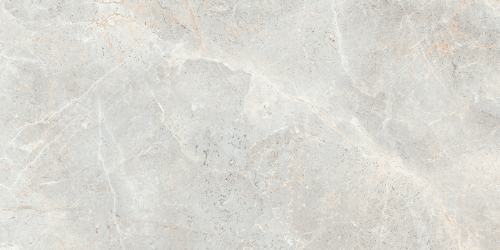 Augustus Polished - Tile Depot - 