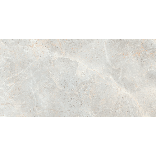Augustus Polished - Tile Depot - 