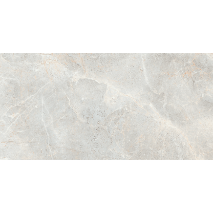 Augustus Polished - Tile Depot - 