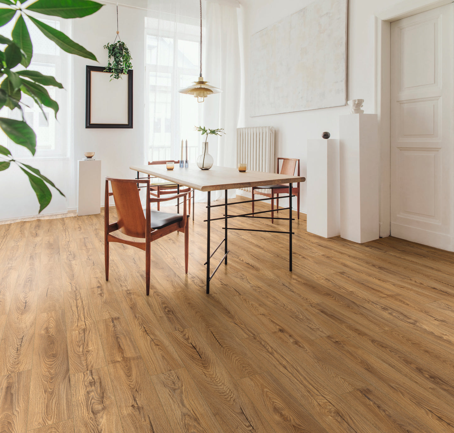 Inca Carpenter Oak