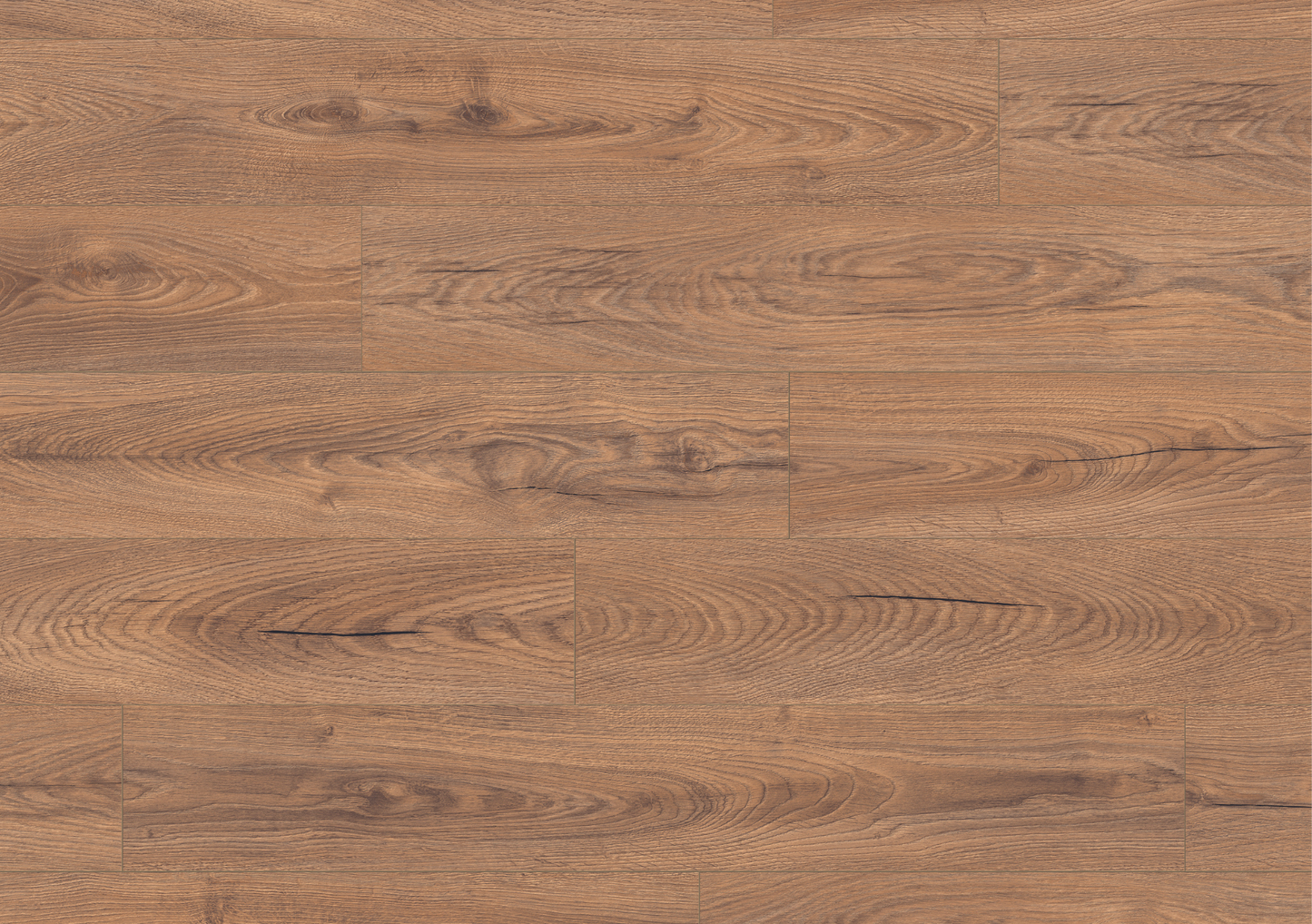 Inca Carpenter Oak