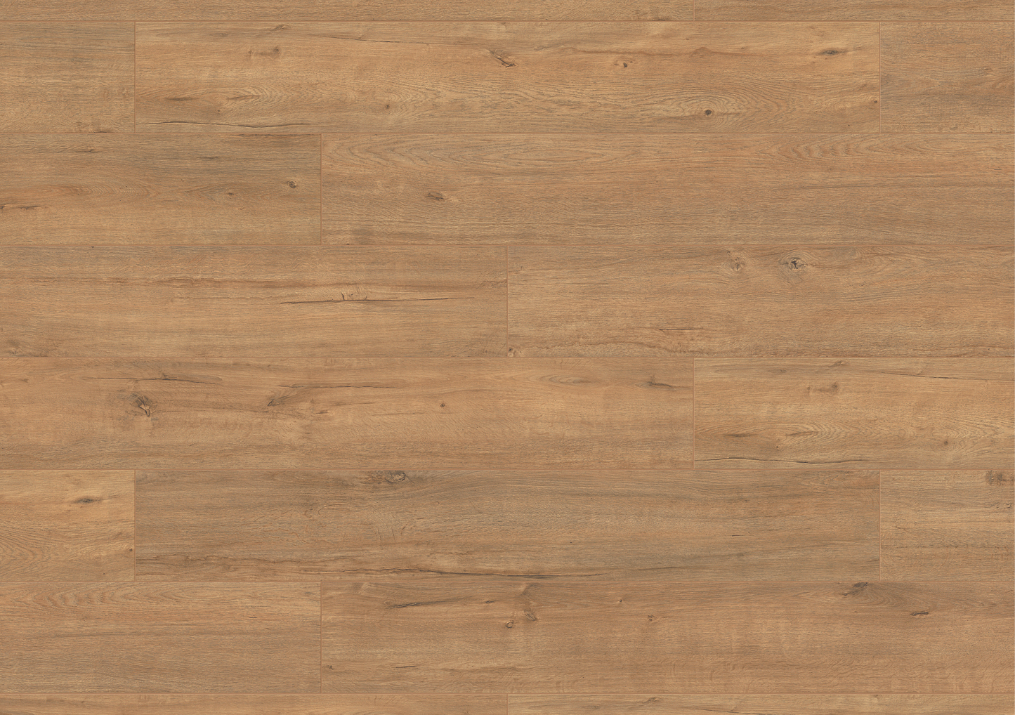 Gold Apollo Oak