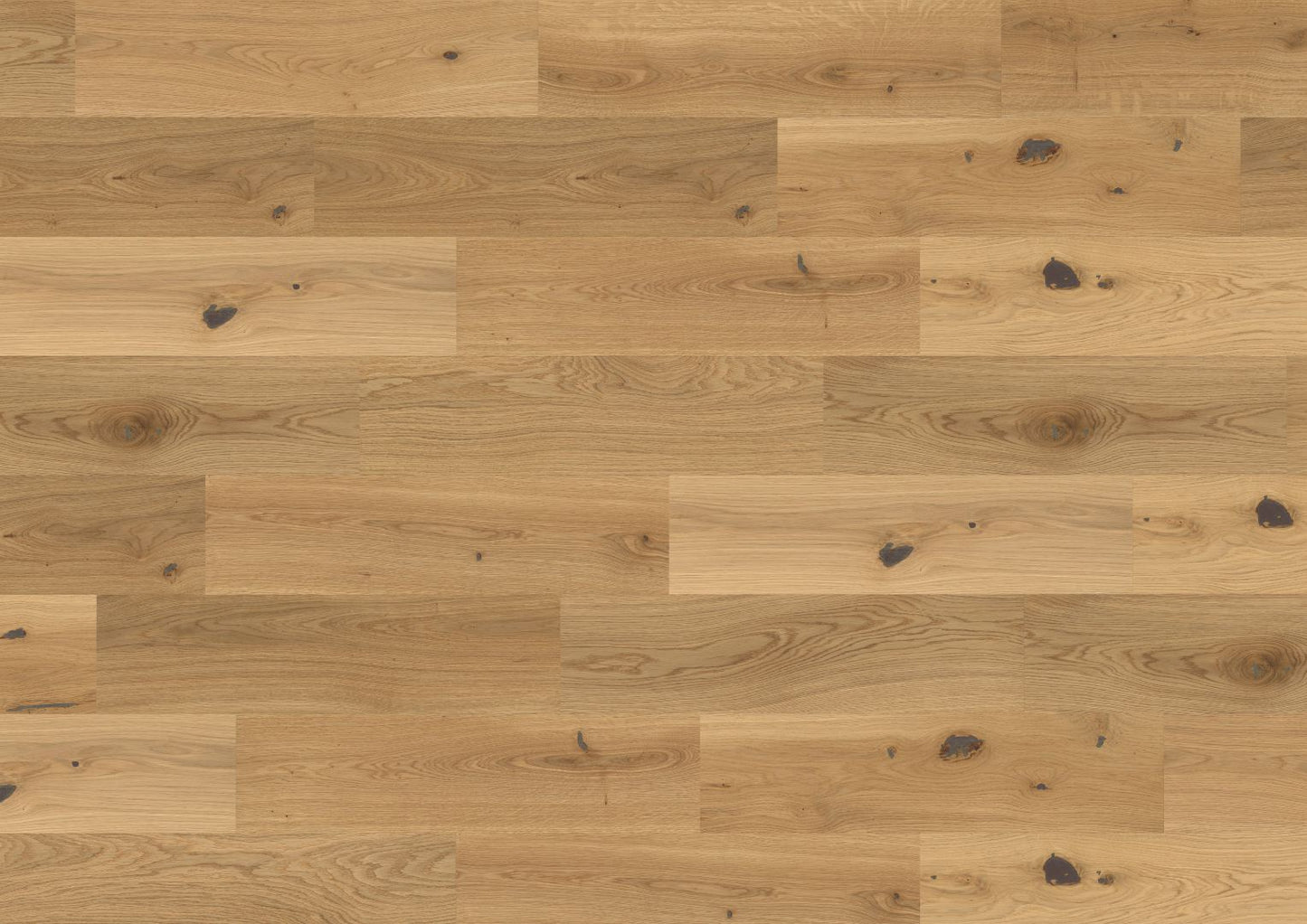 The Castro Collection Prestige Oak 180