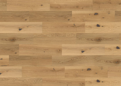 The Castro Collection Prestige Oak 180