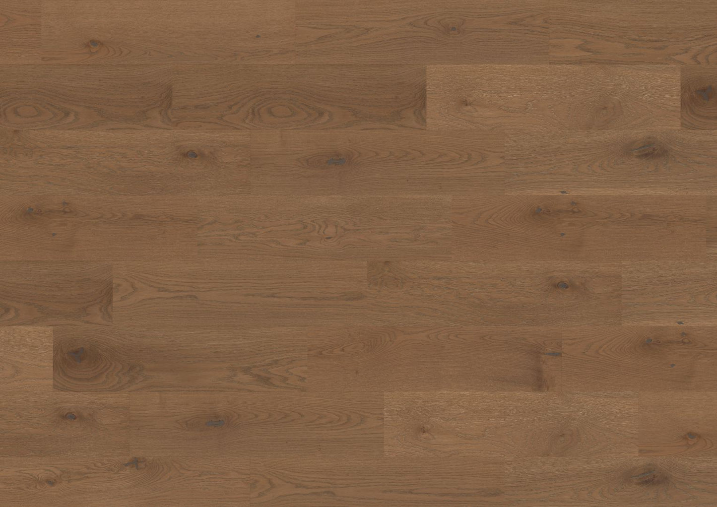 The Castro Collection Smoked White Oak 180
