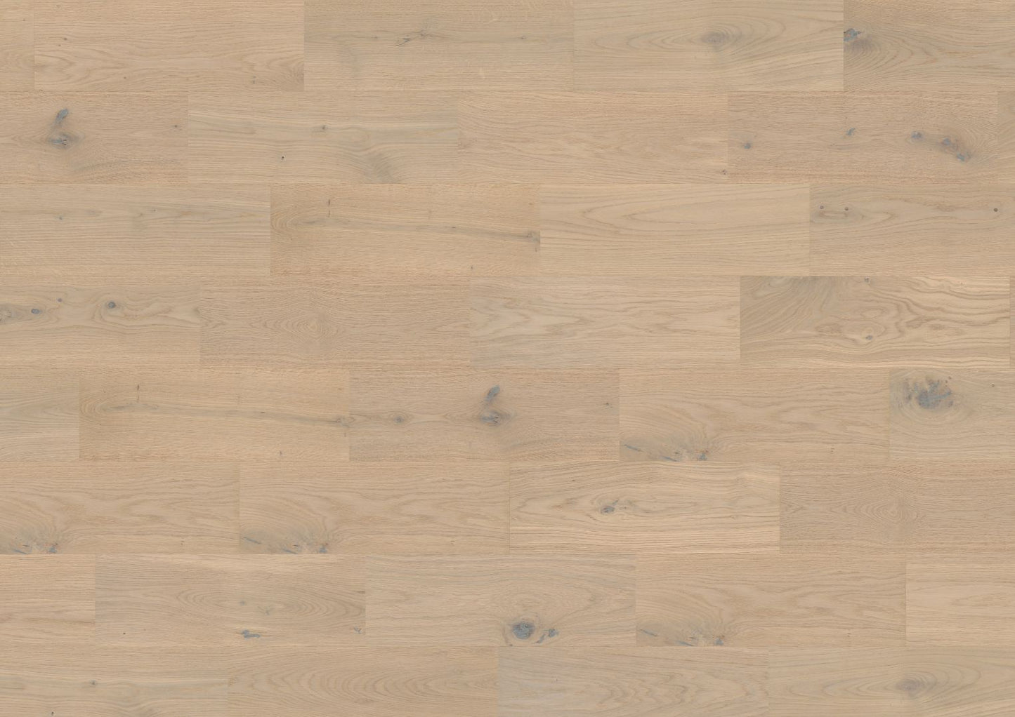 The Castro Collection Taj Mahal Oak 180