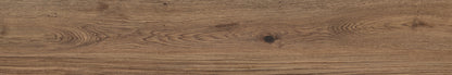Sequoia