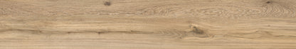 Sequoia