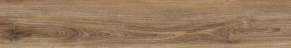 Sequoia