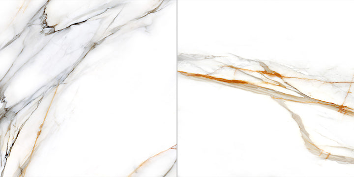Calacatta Gold White